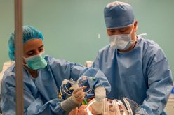 Transplante: Innovadora técnica reacondiciona pulmones dañados