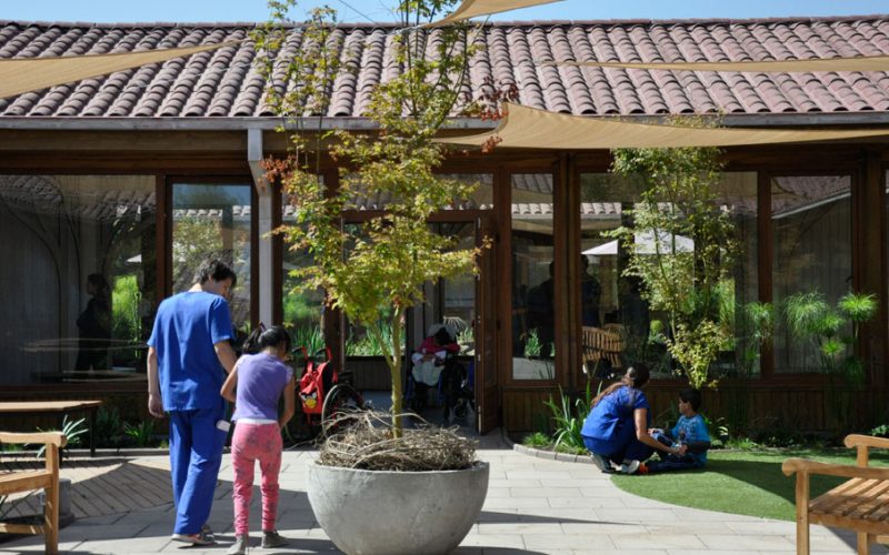 Jardines terapéuticos: Terapia natural y sanadora