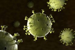 Enfermedad Hepática crónica en Chile: Hepatitis B y Hepatitis C